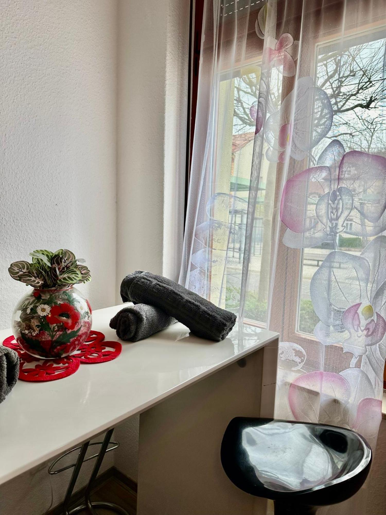 Ferienzimmer Healing Und Montuerwohnung Weissenfels Exterior foto