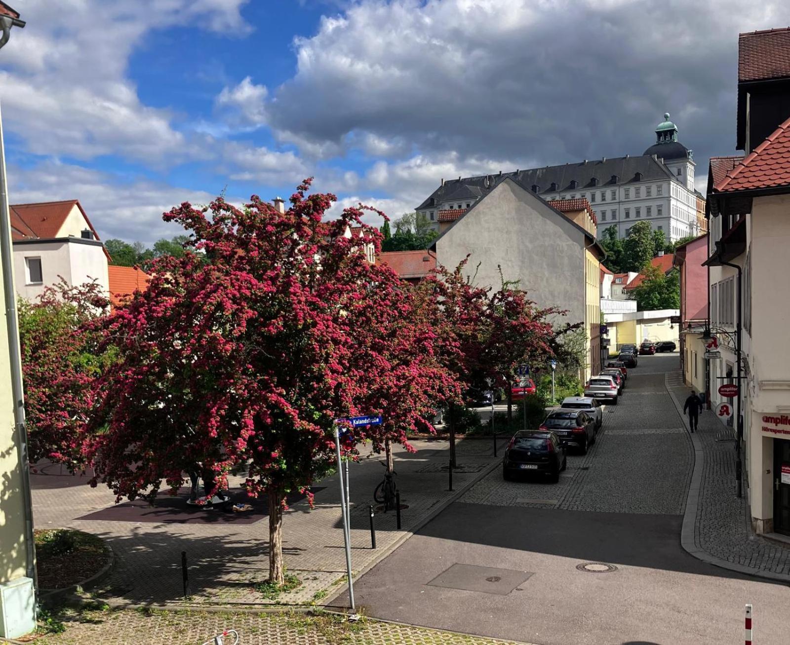 Ferienzimmer Healing Und Montuerwohnung Weissenfels Exterior foto